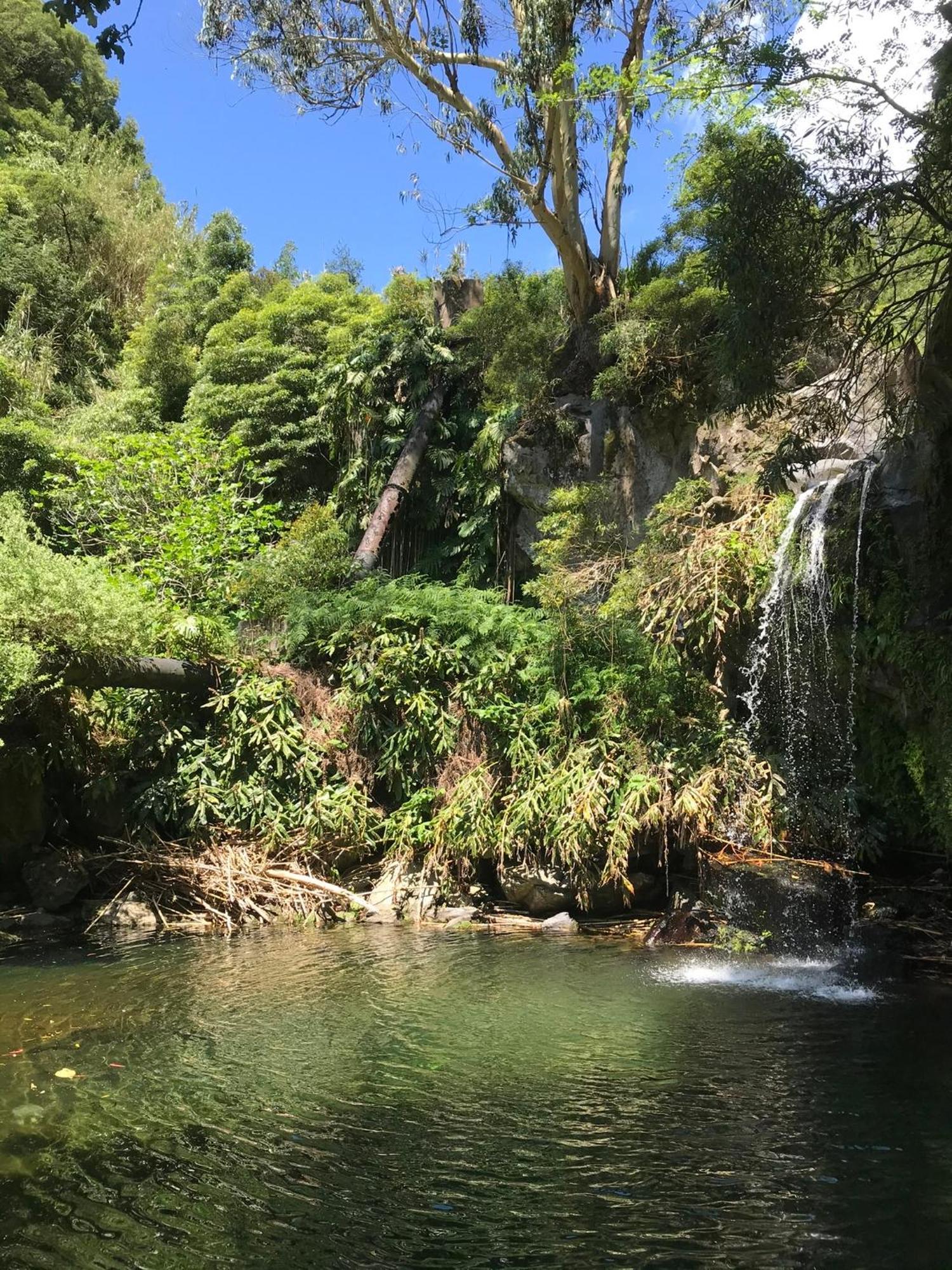 Casa Da Cascata Do Segredo Lejlighed Água de Alto Eksteriør billede
